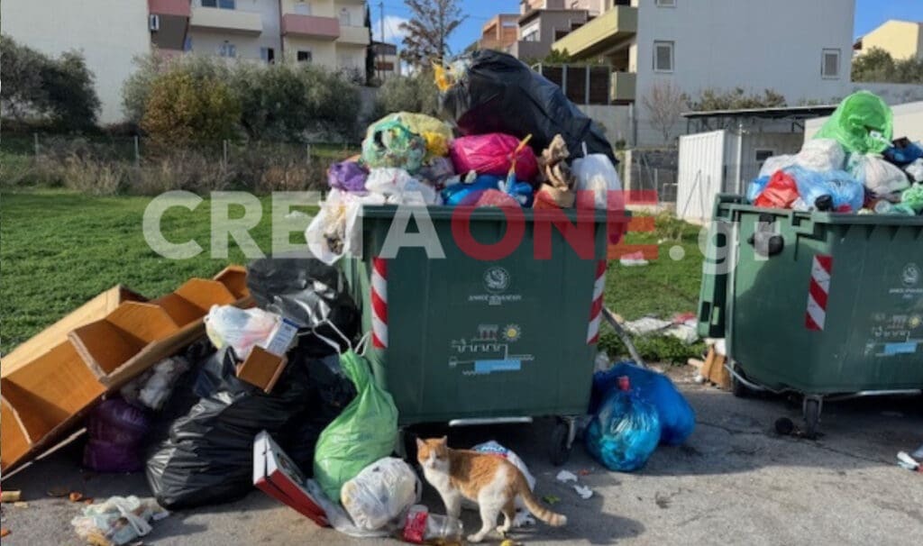 ΣΚΟΥΠΙΔΙΑ ΑΗ ΓΙΑΝΝΗΣ