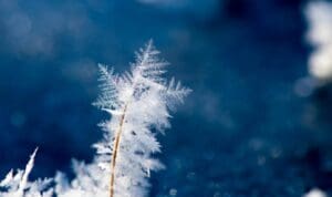 Καιρός: Χειμωνιάτικη Πρωτοχρονιά με κρύο, βοριάδες και «πασπάλες» χιονιού στην Κρήτη – Που θα φτάσει το θερμόμετρο