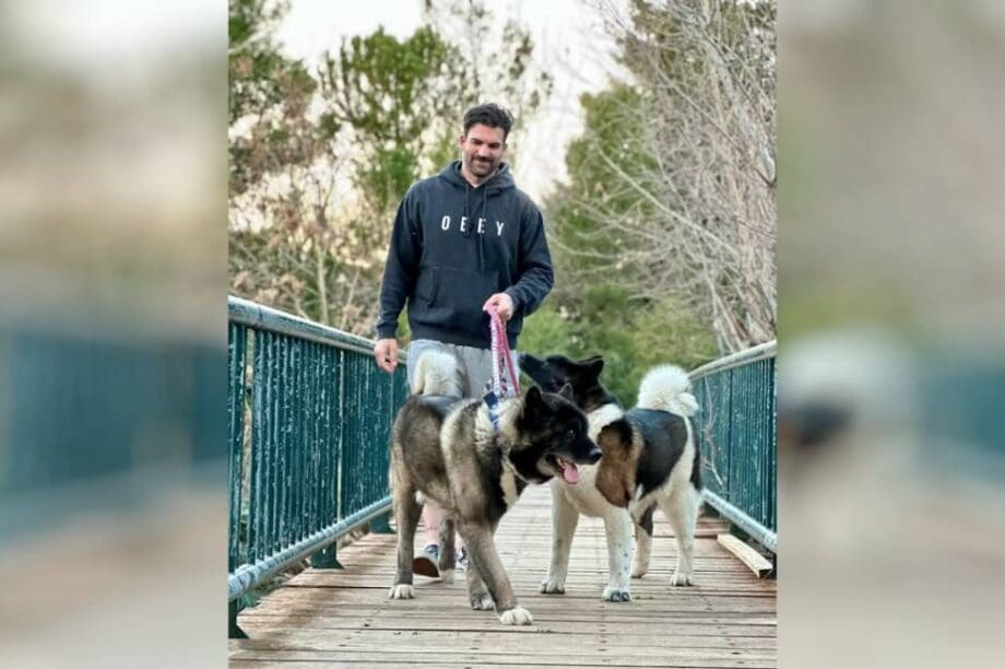 Δημήτρης Αλεξάνδρου