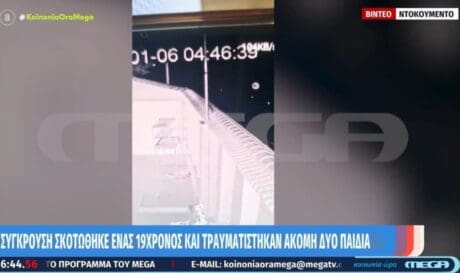 ΑΛΟΓΑ ΜΥΤΙΛΗΝΗ ΤΡΟΧΑΙΟ