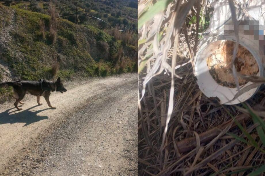 Γιούχτας