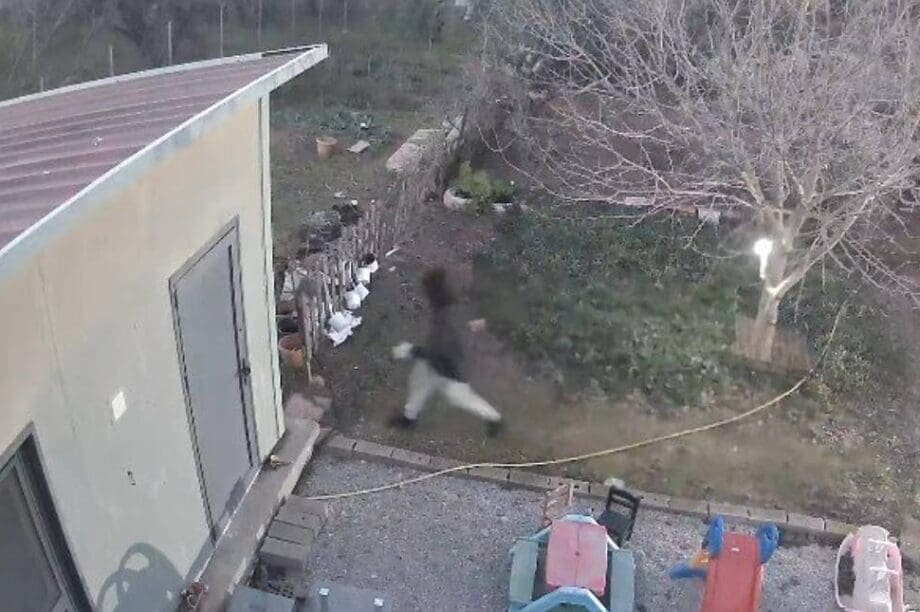 κλέφτης