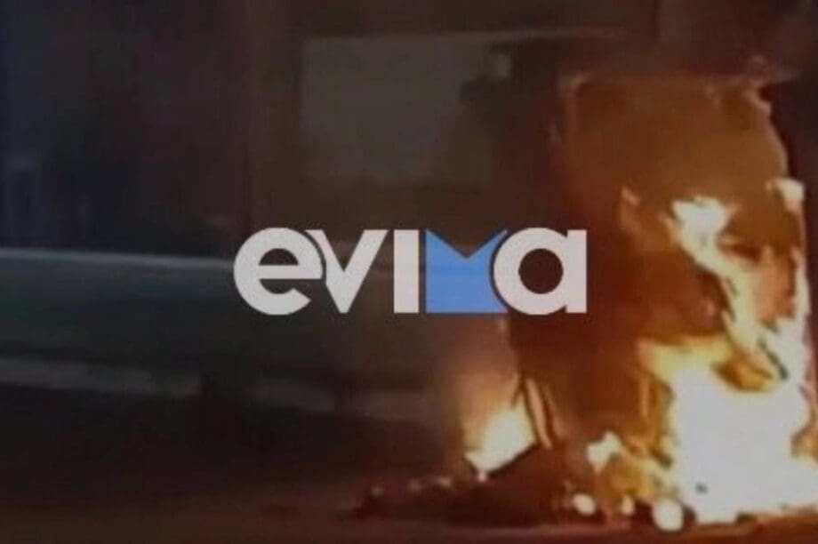 κουτάβια Ευβοια