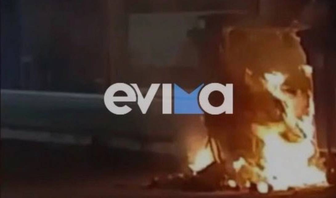 κουτάβια Ευβοια