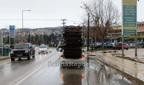 ΛΑΜΙΑ ΙΧ ΠΑΛΕΤΕΣ