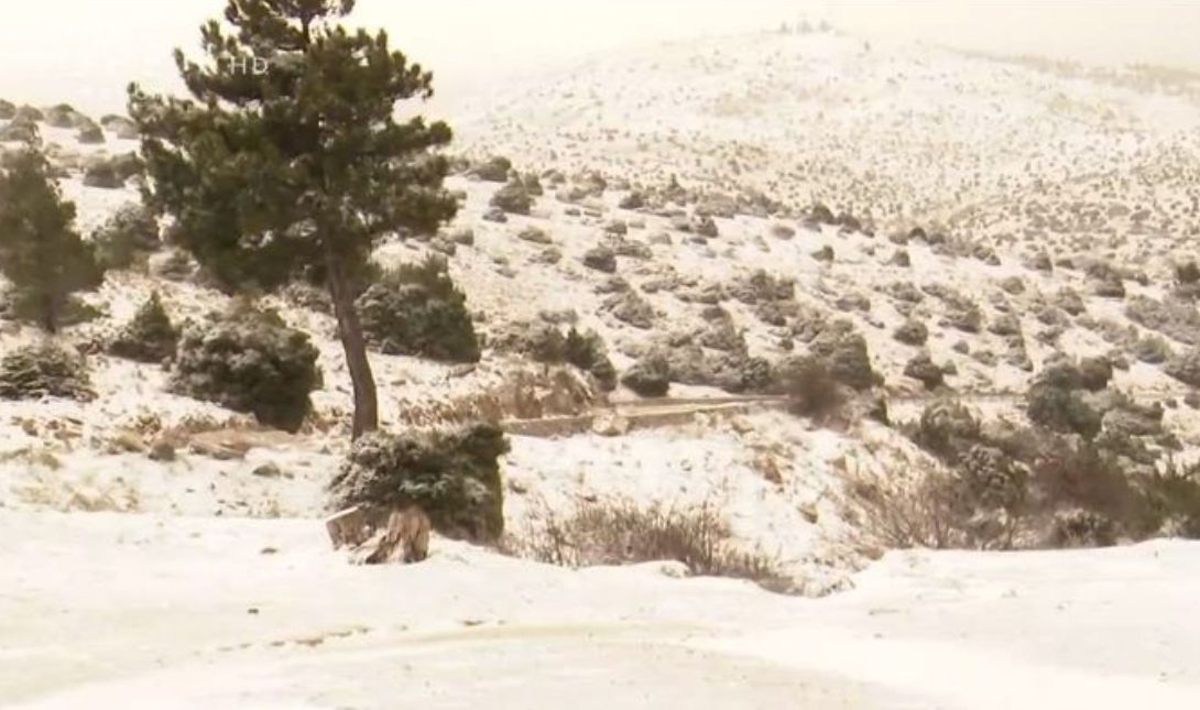 ΧΙΟΝΙΑ ΠΑΡΝΗΘΑ