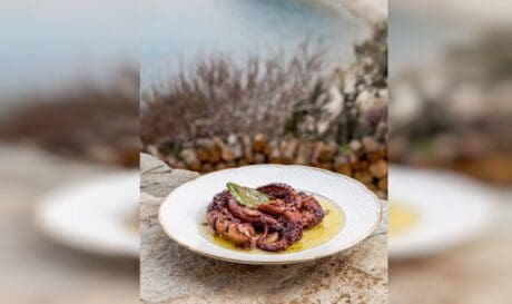 ΧΤΑΠΟΔΙ ΚΡΑΣΑΤΟ ΣΥΝΤΑΓΗ χταπόδι Χταπόδι