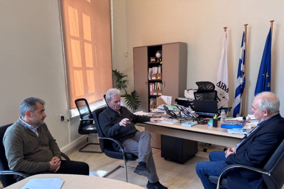Λέκκας Καλοκαιρινός