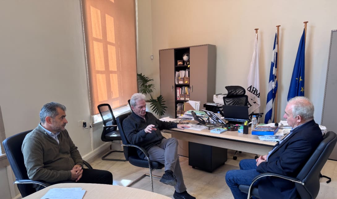 Λέκκας Καλοκαιρινός