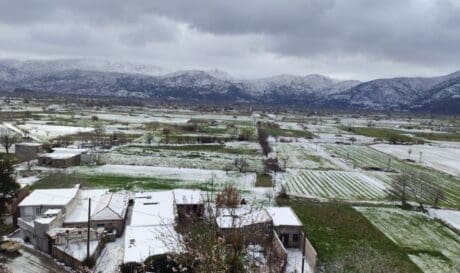 Πινακιανό