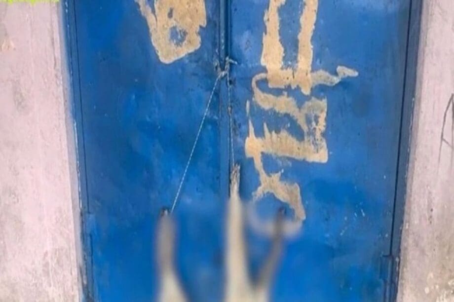 Καρδίτσα