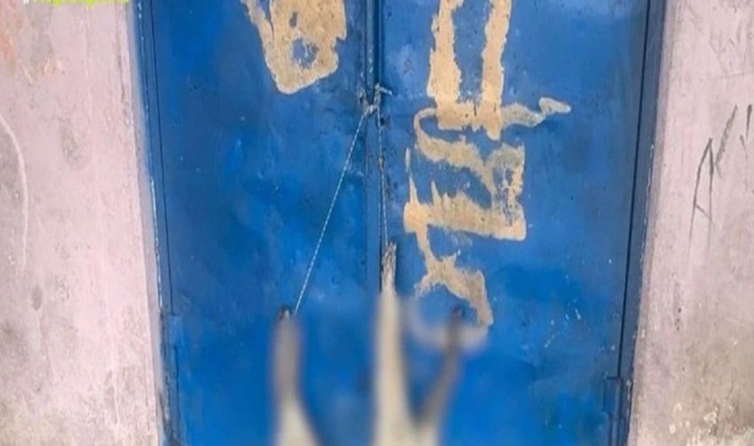 Καρδίτσα