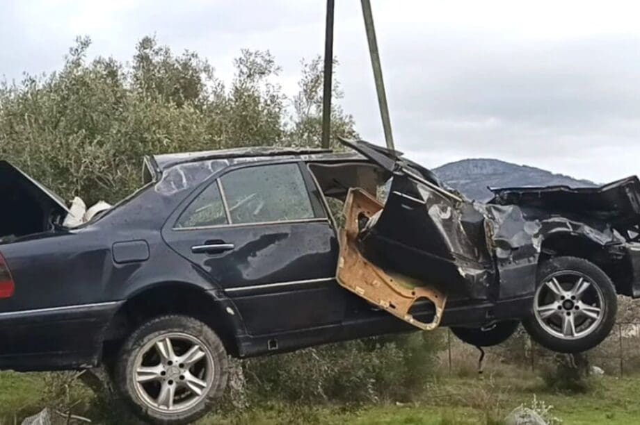 Φυλή