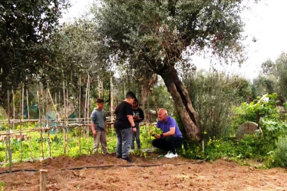 Εξαιρετικό παρθένο ελαιόλαδο με την ετικέτα σχολείου!