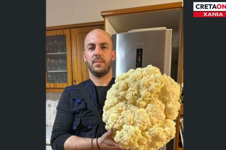 κουνουπιδι χανια