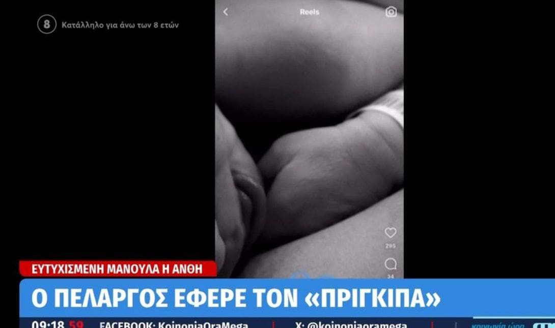 ΜΩΡΟ ΑΝΘΗ ΒΟΥΛΓΑΡΗ