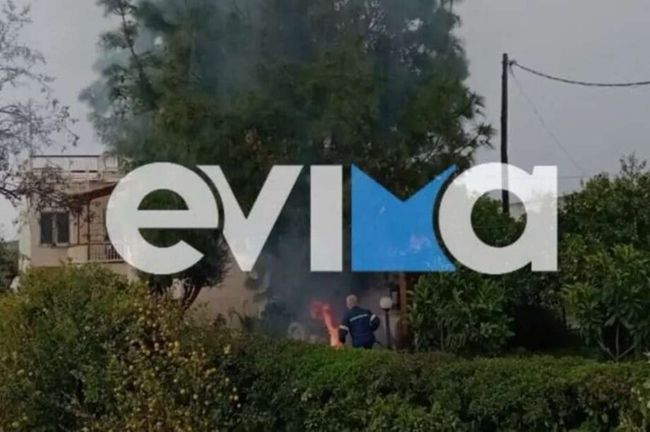 Εύβοια φωτιά