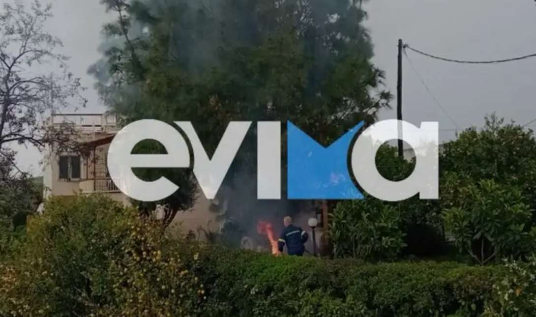 Εύβοια φωτιά