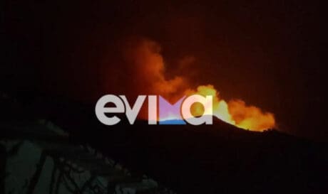 φωτιά Κάρυστος