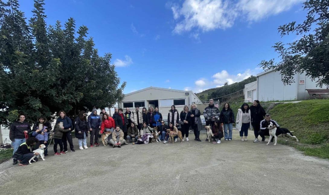 Σκυλοβόλτες Κυνοκομείο Ηρακλείου