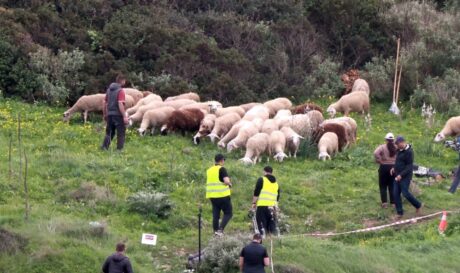 Μεσσηνία Ματ Ντέιμον Οδύσσεια