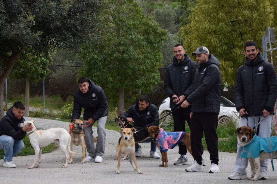 ΠΑΕ ΟΦΗ Αδέσποτα