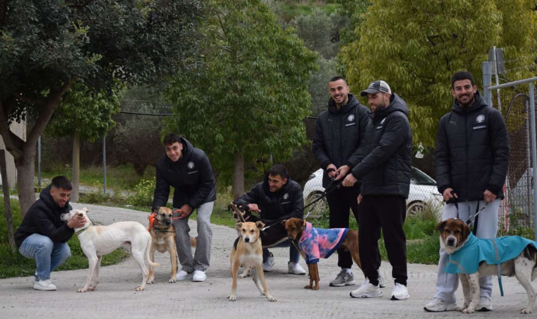 ΠΑΕ ΟΦΗ Αδέσποτα