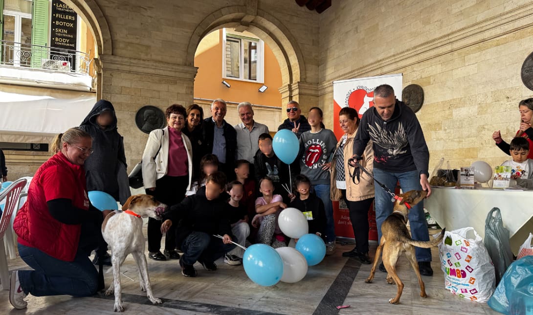 Παγκόσμια Ημέρα Αδέσποτων Ζώων δρτάσεις