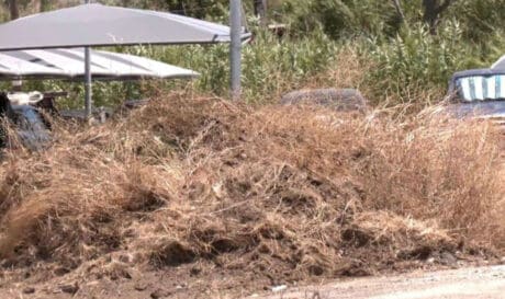 Ακαθάριστα οικόπεδα οικόπεδο ξερόχορτα