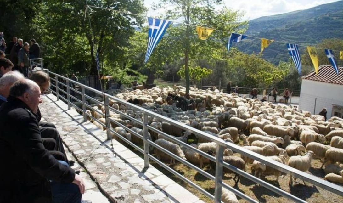 Ασή Γωνιά πρόβατα Άγιος Γεώργιος