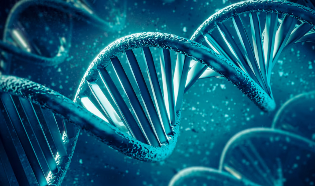 DNA