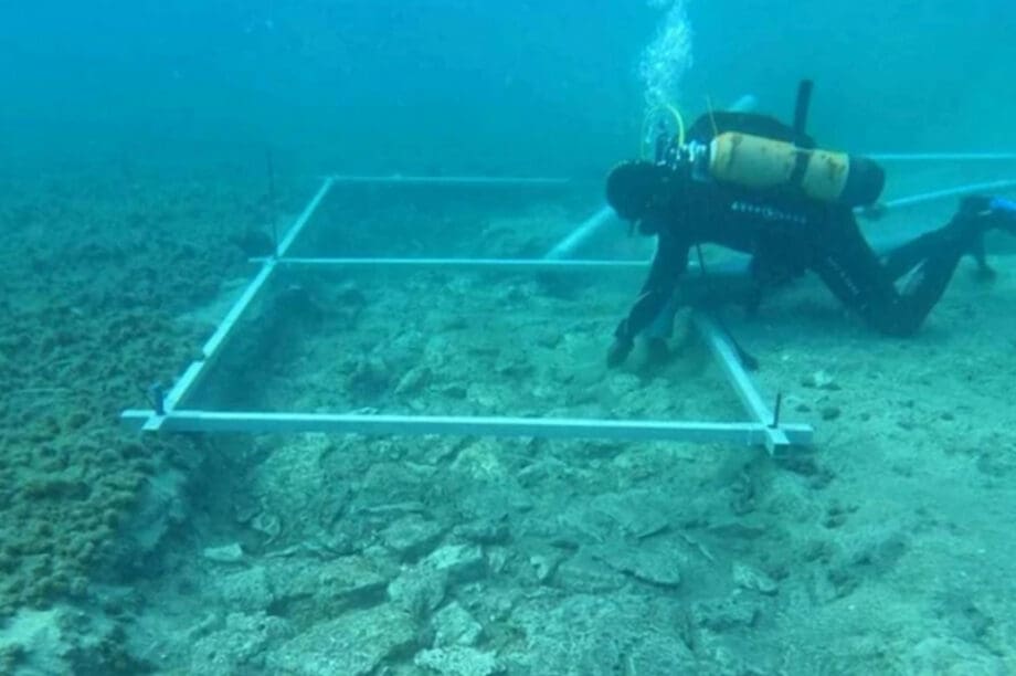 έρευνα ανακάλυψη