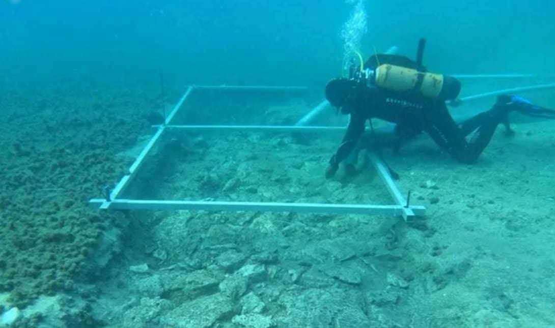 έρευνα ανακάλυψη