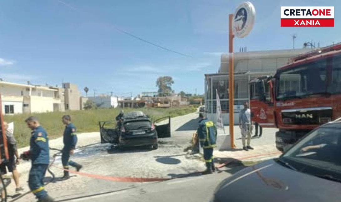 Κουνουπιδιανά