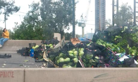 Νταλίκα λάχανα εθνική