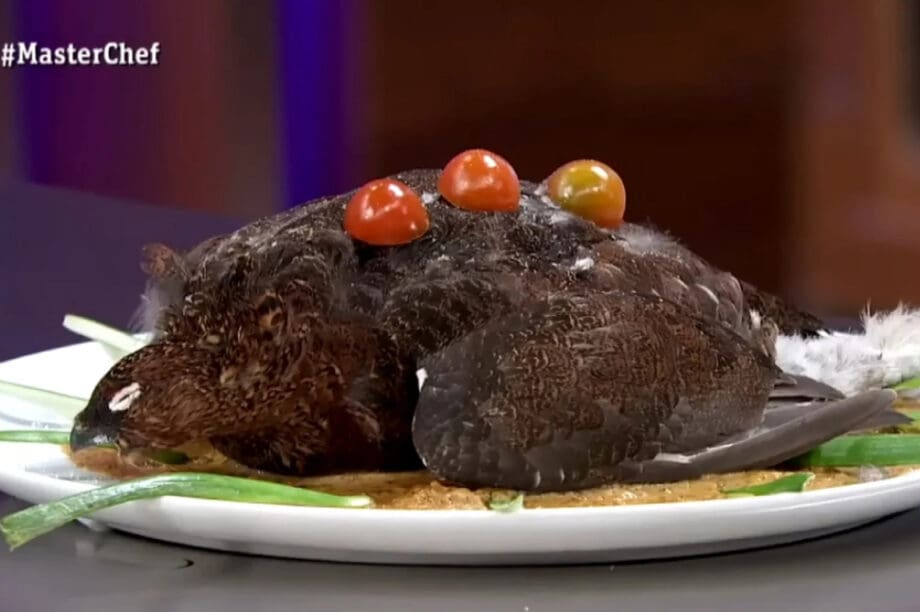 masterchef