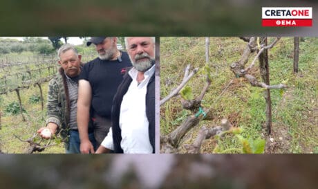 Μεσαρά καταστροφές