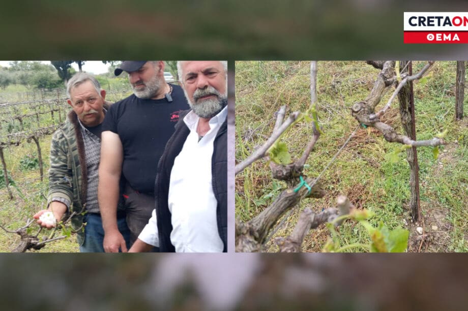 Μεσαρά καταστροφές