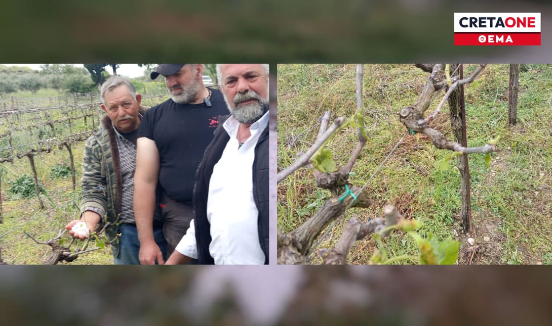 Μεσαρά καταστροφές