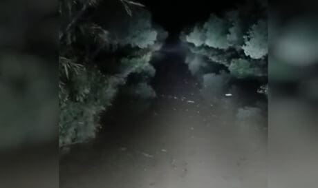 γεροπόταμος μεσαρα
