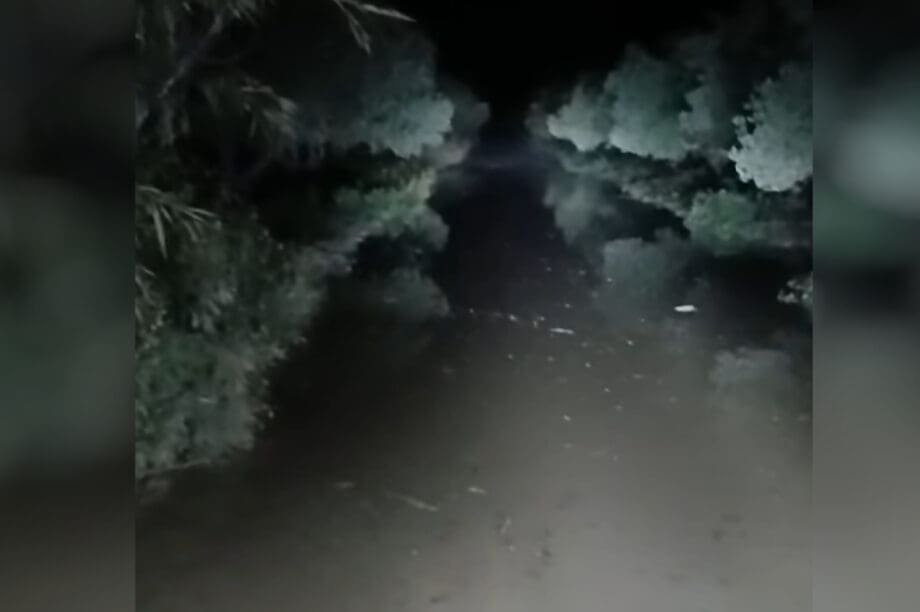 γεροπόταμος μεσαρα