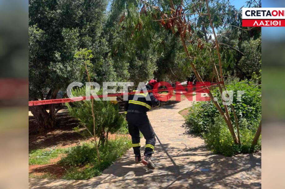 σχολείο Λασίθι