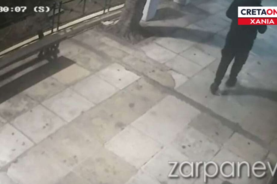 Χανιά νεαροί