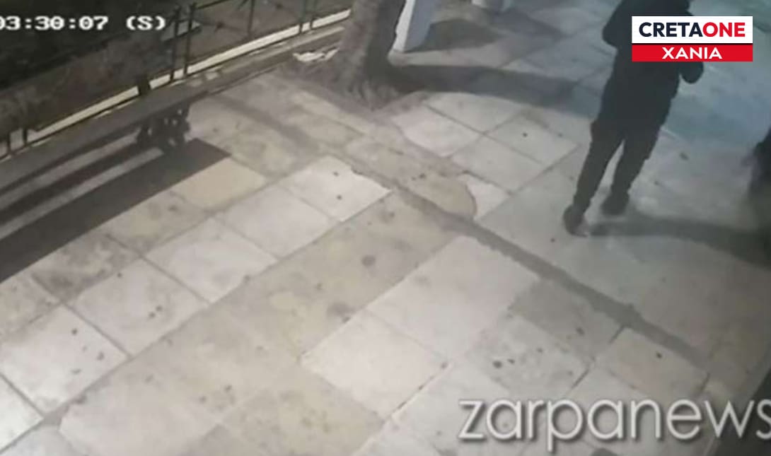 Χανιά νεαροί