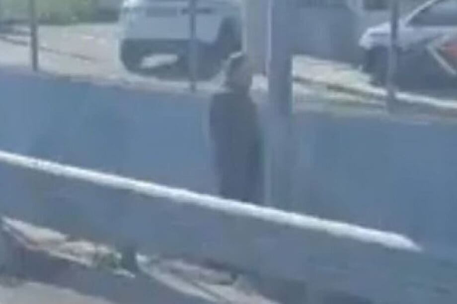 Σταμάτησε στη μέση του δρόμου για να ουρήσει
