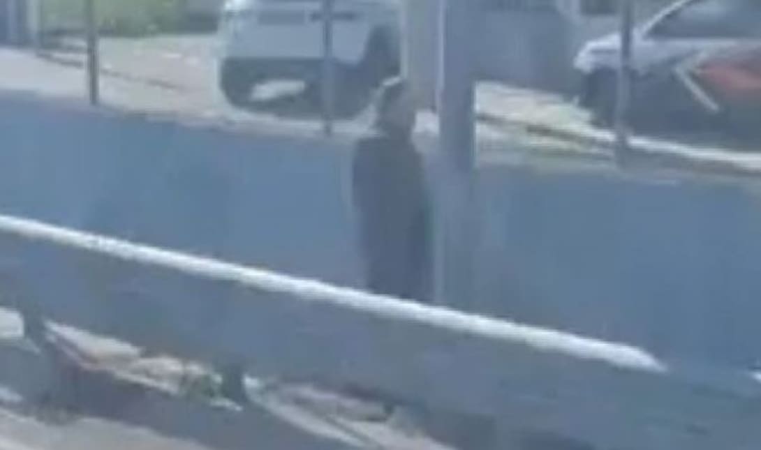 Σταμάτησε στη μέση του δρόμου για να ουρήσει