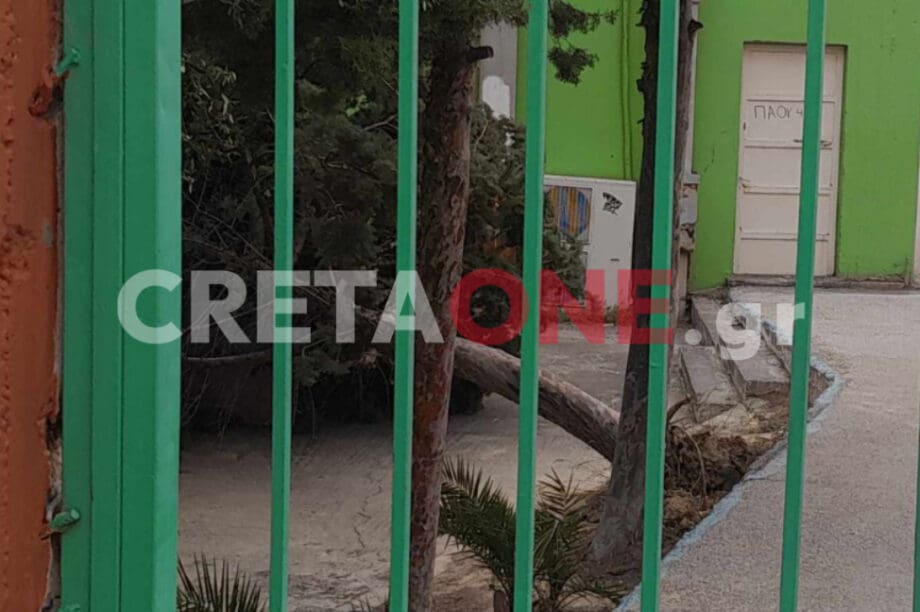 Ηράκλειο: Ξεριζώθηκε δέντρο στο Πρότυπο σχολείο