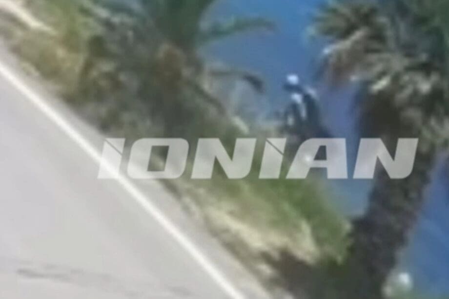 Γουρούνα τροχαίο ατύχημα