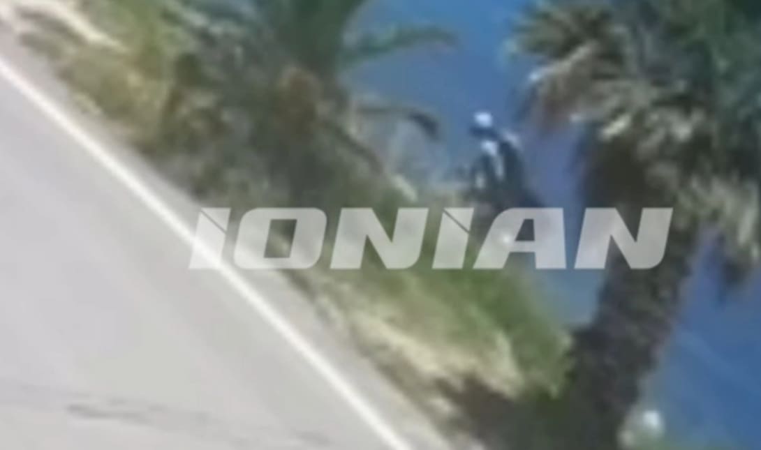 Γουρούνα τροχαίο ατύχημα