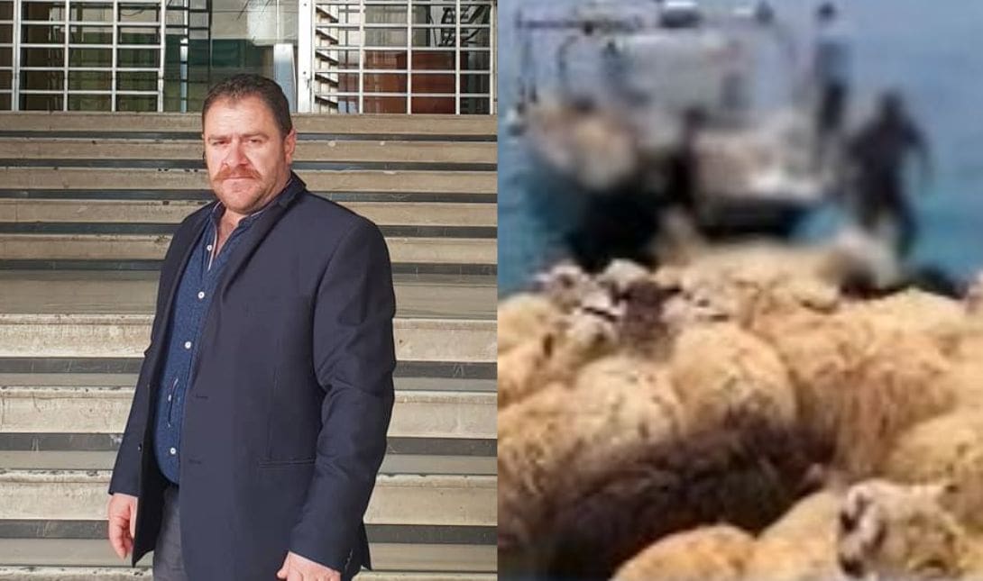Γρύλλος Παπαδάκης σοκ πρόβατα